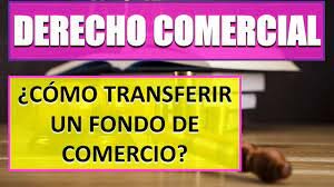 Ámbito de Aplicación – Transferencias alcanzadas por la Ley N° 11.687