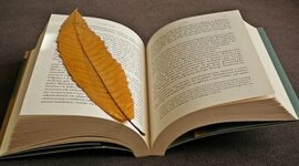 Timeline: Movimientos literarios