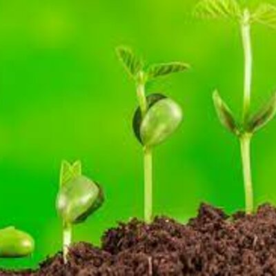 Timeline: La història de la meva vida