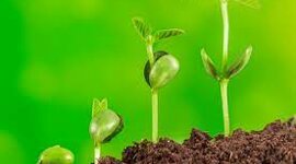 Timeline: La història de la meva vida