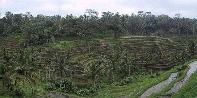 Einde van het Cultuurstelsel