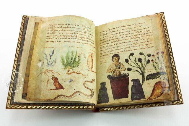 Pedro de Abanos en el siglo XIII