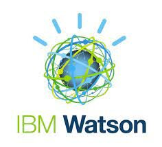 IBM (Business International Machines)