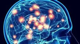 Timeline: Neuropsicología en el tiempo