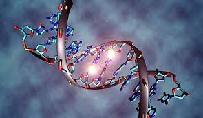 El Proyecto Genoma Humano