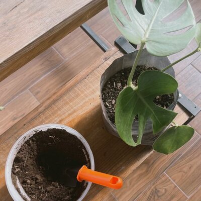 Timeline: Desarrollo Sostentable