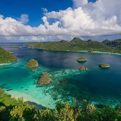 Timeline: NEW GUINEA