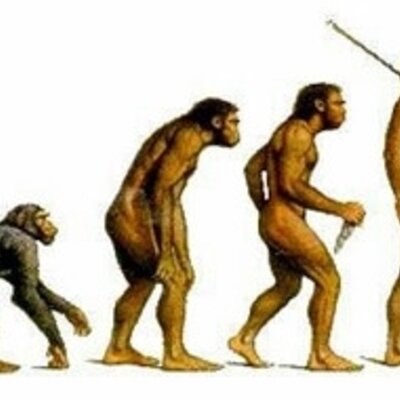 Timeline: EVOLUCIÓ HUMANA