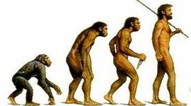 Timeline: EVOLUCIÓ HUMANA