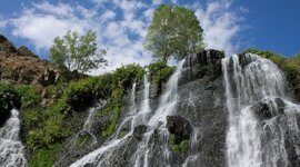 Timeline: Environmental Laws, Agencies, and Treaties- By Sam Barton and Connor Krumbhaar