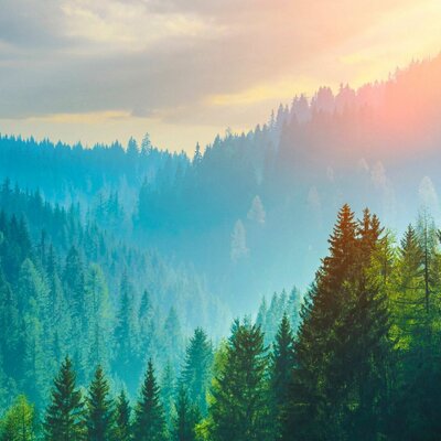 Timeline: Environmental Laws and Agencies- Terry Dougherty