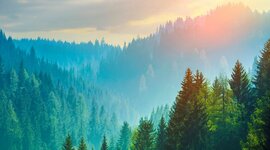 Timeline: Environmental Laws and Agencies- Terry Dougherty