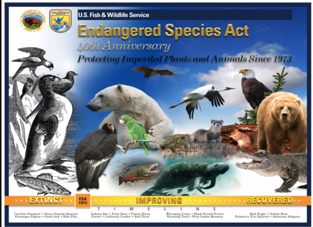 Endangered Species Act