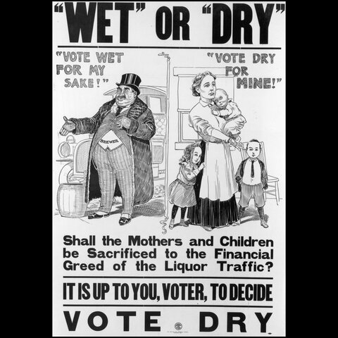 first state prohibition law