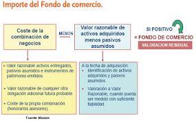 CLASIFICACION DE LOS ELEMENTOS DEL FONDO DE COMERCIO