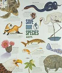 US Endangered Species Act