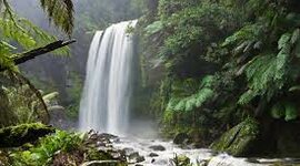 Timeline: Environmental Laws, Agencies, and Treaties - Christopher Oakes and Charlie Papa