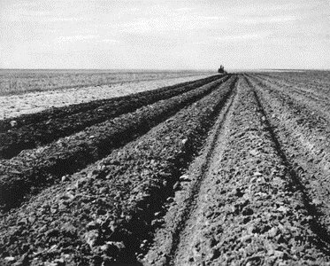 1931 The Dust bowl begins