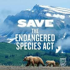 Endangered Species Act (US)
