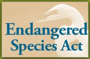 Endangered Species Act (US)