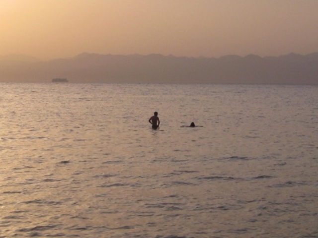 2nd day of swimming with Mr. F