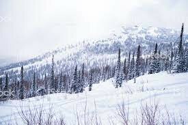 Cadena perpetua Bakunin