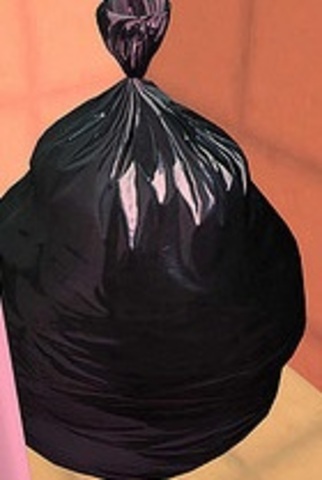 Garbage Begans to Stinks