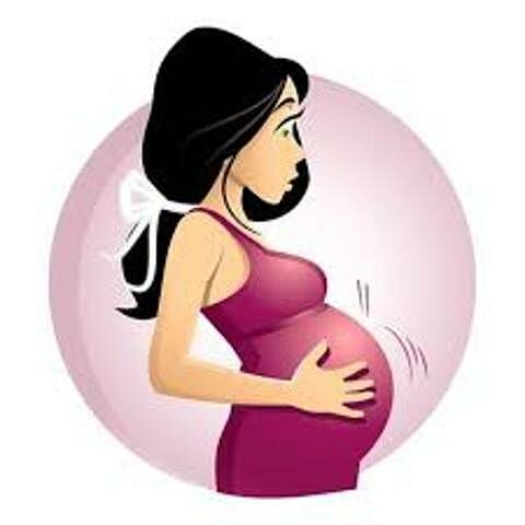 Proteccion a la mujer embarazada