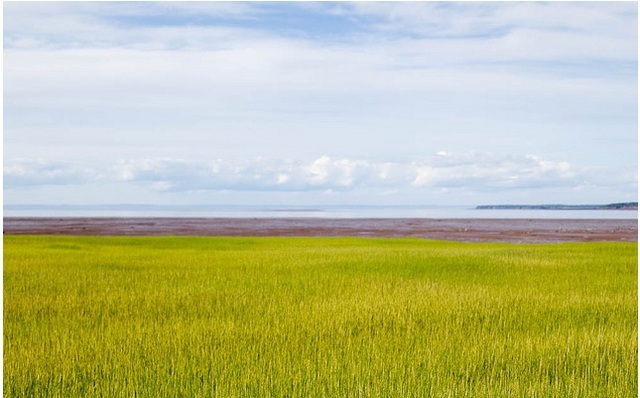 Pro. Sherman sights land