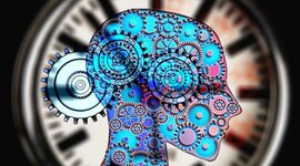 Timeline: Historia de la Neuropsicología