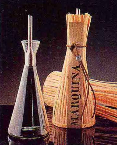 Nacimiento y desarrollo (1960-1979) II