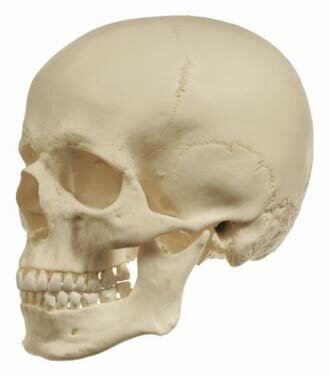 Sociedad Antropológica 1862