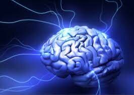 PERIODO CONTEMPORANEO Procedimientos estandarizados de evolución 1975.