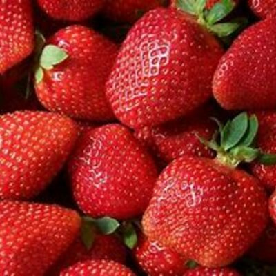 Timeline: Situación temporeros/as de Lepe