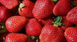 Timeline: Situación temporeros/as de Lepe