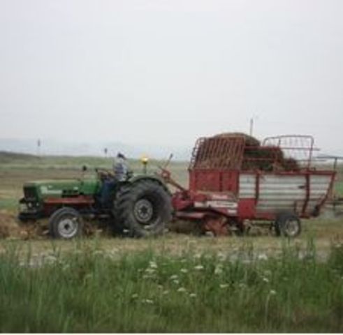 American Education and Fundings