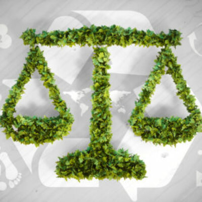 Timeline: Environmental Laws and Agencies
