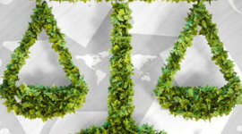 Timeline: Environmental Laws and Agencies