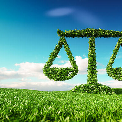 Timeline: Environmental Laws, Agencies, and Treaties - Lisa Hedin