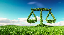 Timeline: Environmental Laws, Agencies, and Treaties - Lisa Hedin