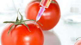 Delaney Clause Of Food, Drug, and Cosmetic Act