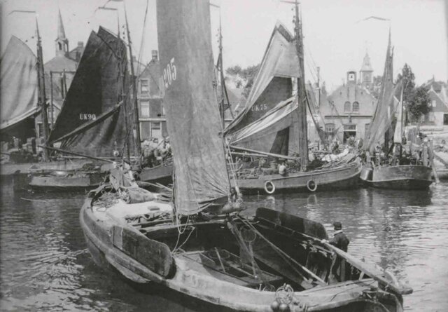 De pest en opkomst visserij