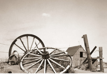 let it shrivel up and die