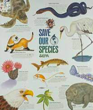 Endangered Species Act