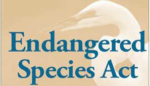 Endangered Species Act