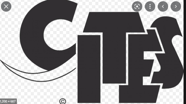 Convention on International Trade in Endangered Species