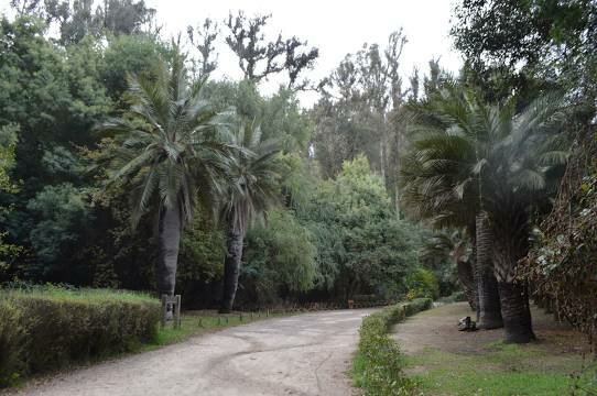 Valparaiso, Chile Day 6