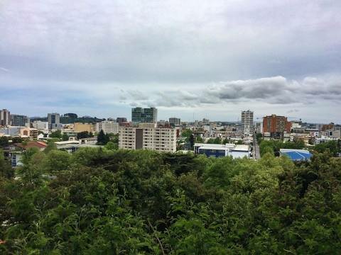 Concepcion, Chile Day 10