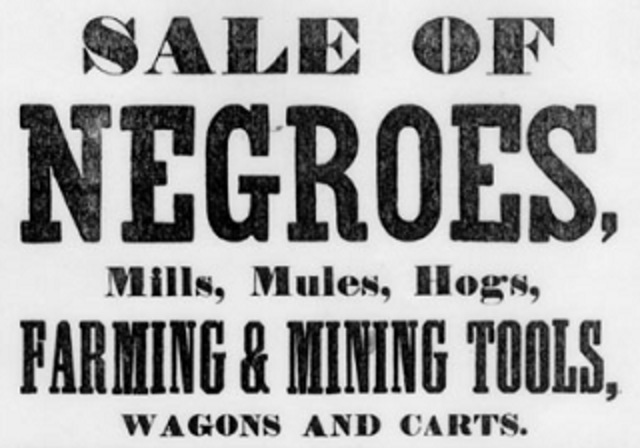 Peculiar Institution