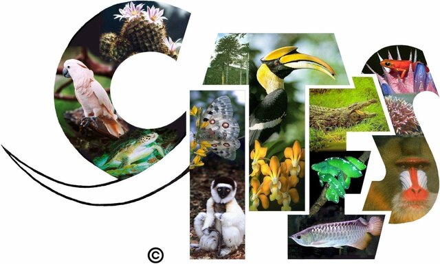 Convention on International Trade in Endangered Species